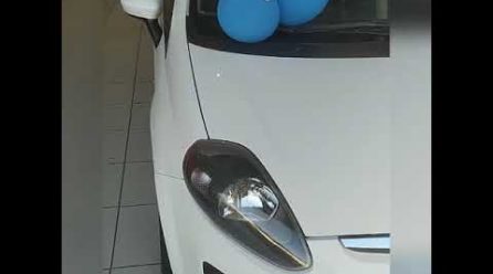 Fiat Punto Attractive 1.4 Flex 2015